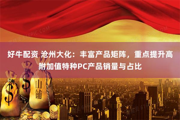 好牛配资 沧州大化：丰富产品矩阵，重点提升高附加值特种PC产品销量与占比