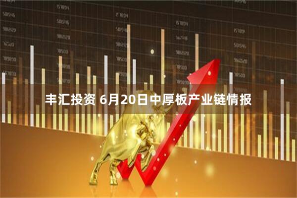 丰汇投资 6月20日中厚板产业链情报