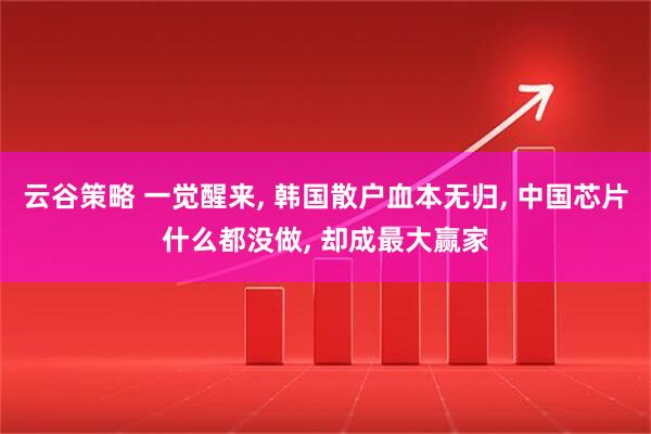 云谷策略 一觉醒来, 韩国散户血本无归, 中国芯片什么都没做, 却成最大赢家